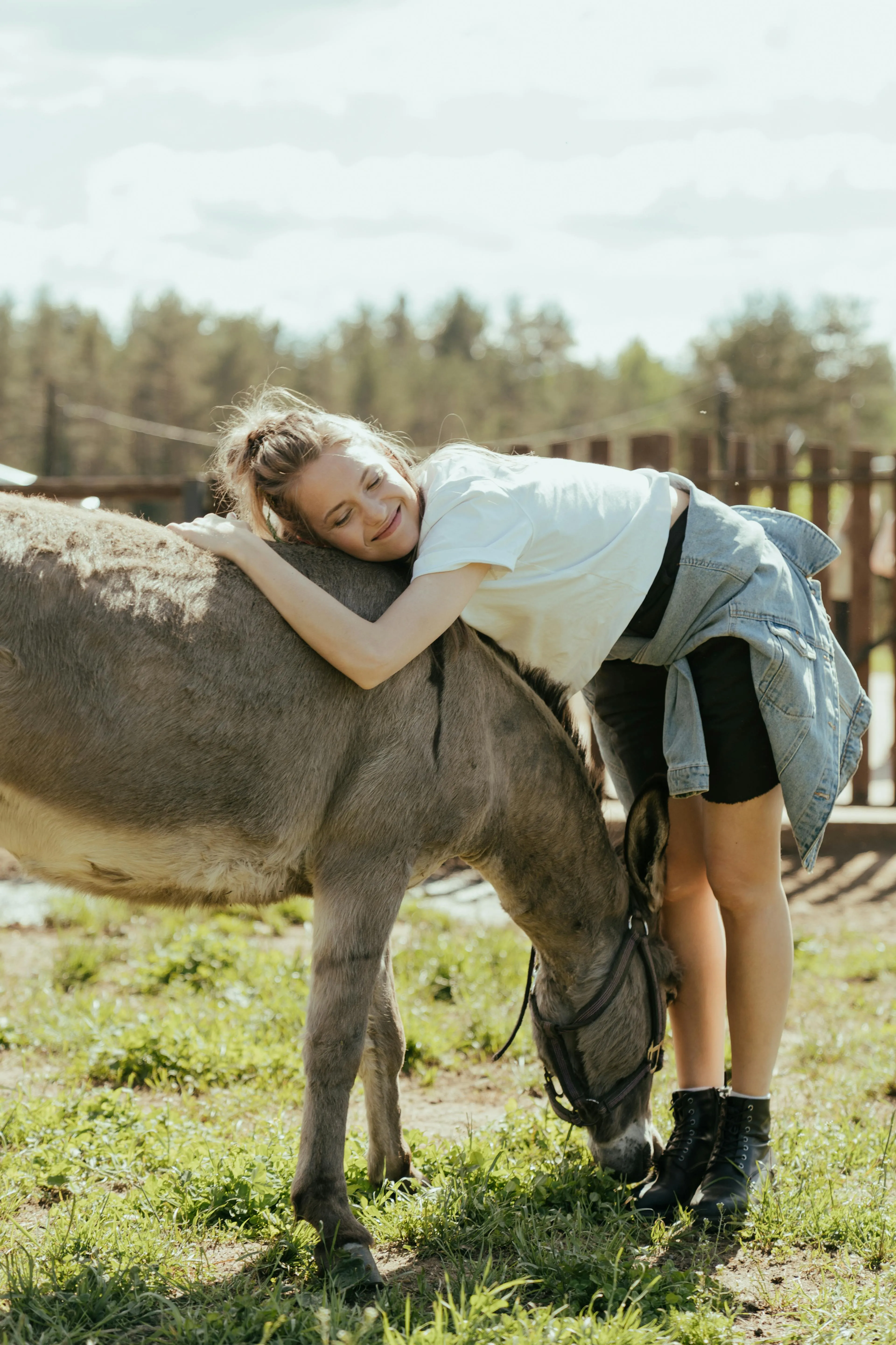 Smiling woman hugging a donkey grazing on grass outdoors in a sunny, fenced area.