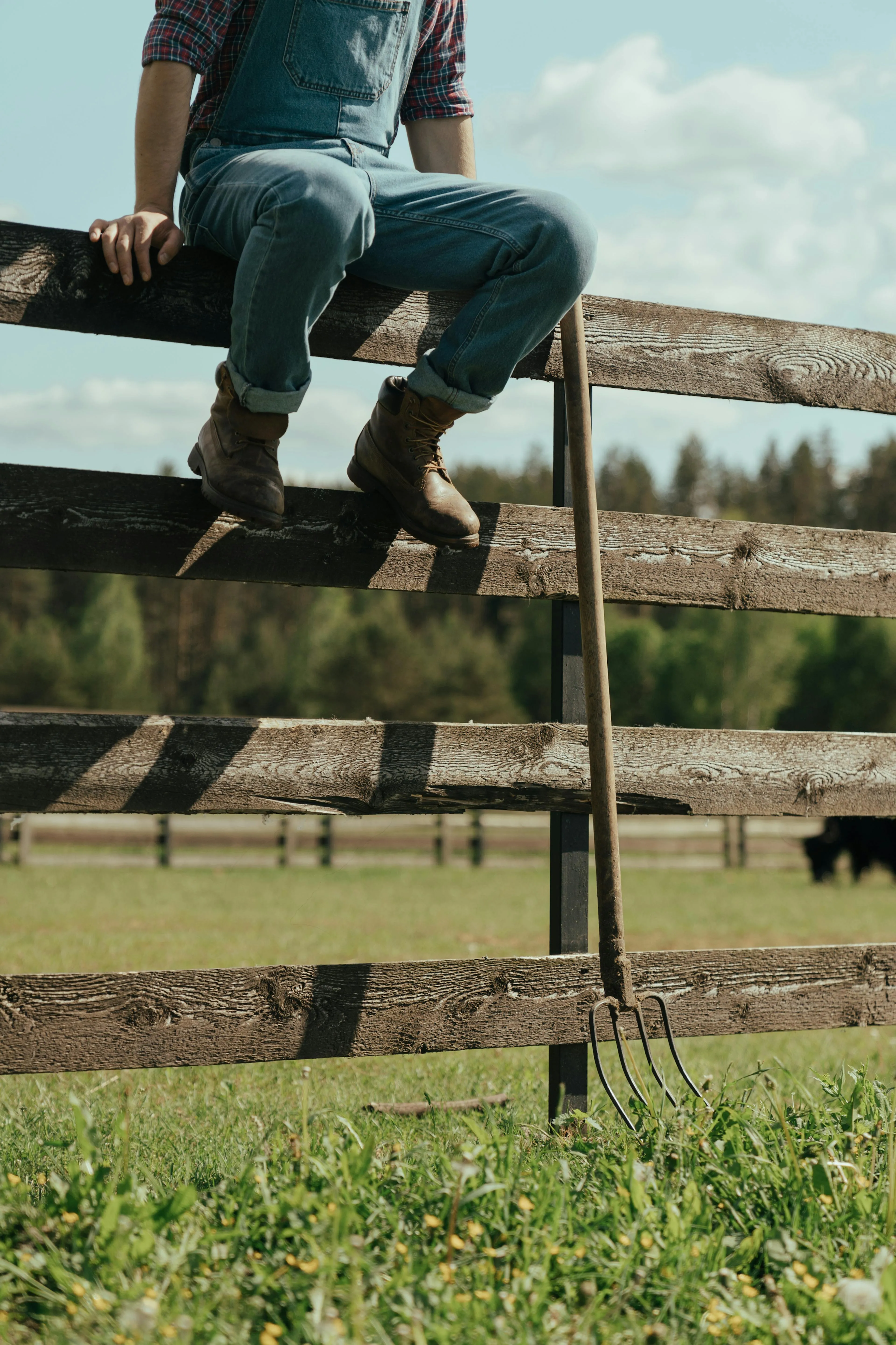 Person wearing jeans and boots sitting on a wooden fence with a pitchfork leaning against it in a grassy field.