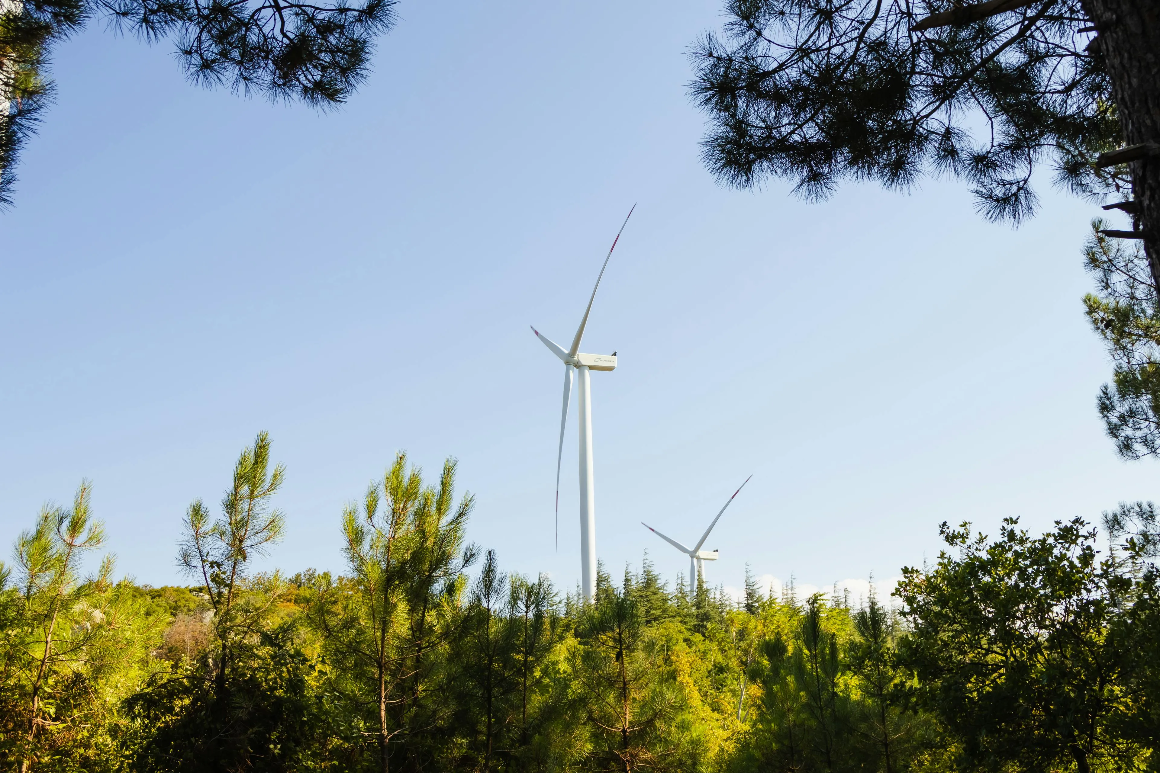 Two large white wind turbines standing above a green forest under a clear blue sky.