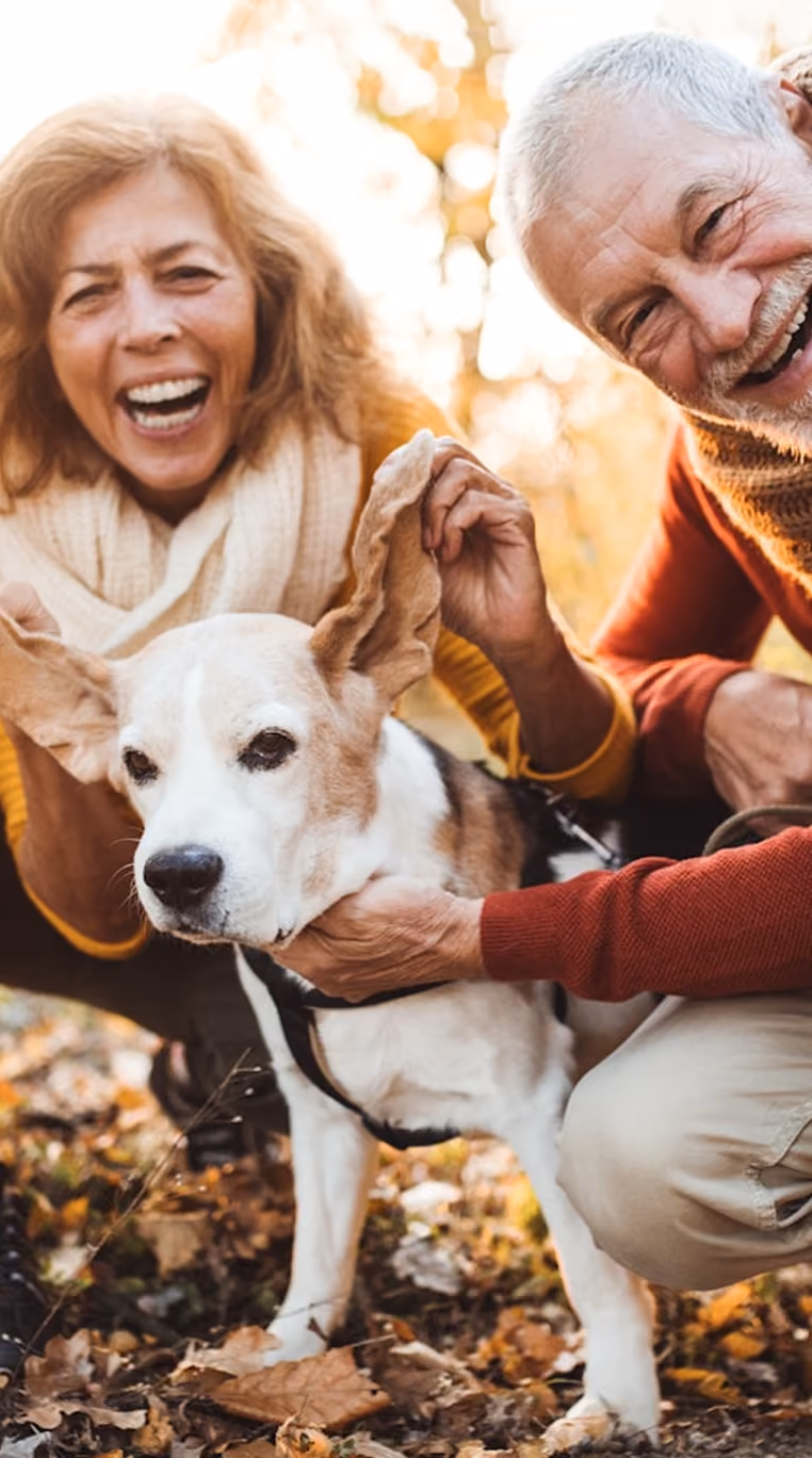 Deux personnes âgées souriantes tenant un chien aux longues oreilles dans un parc en automne.
