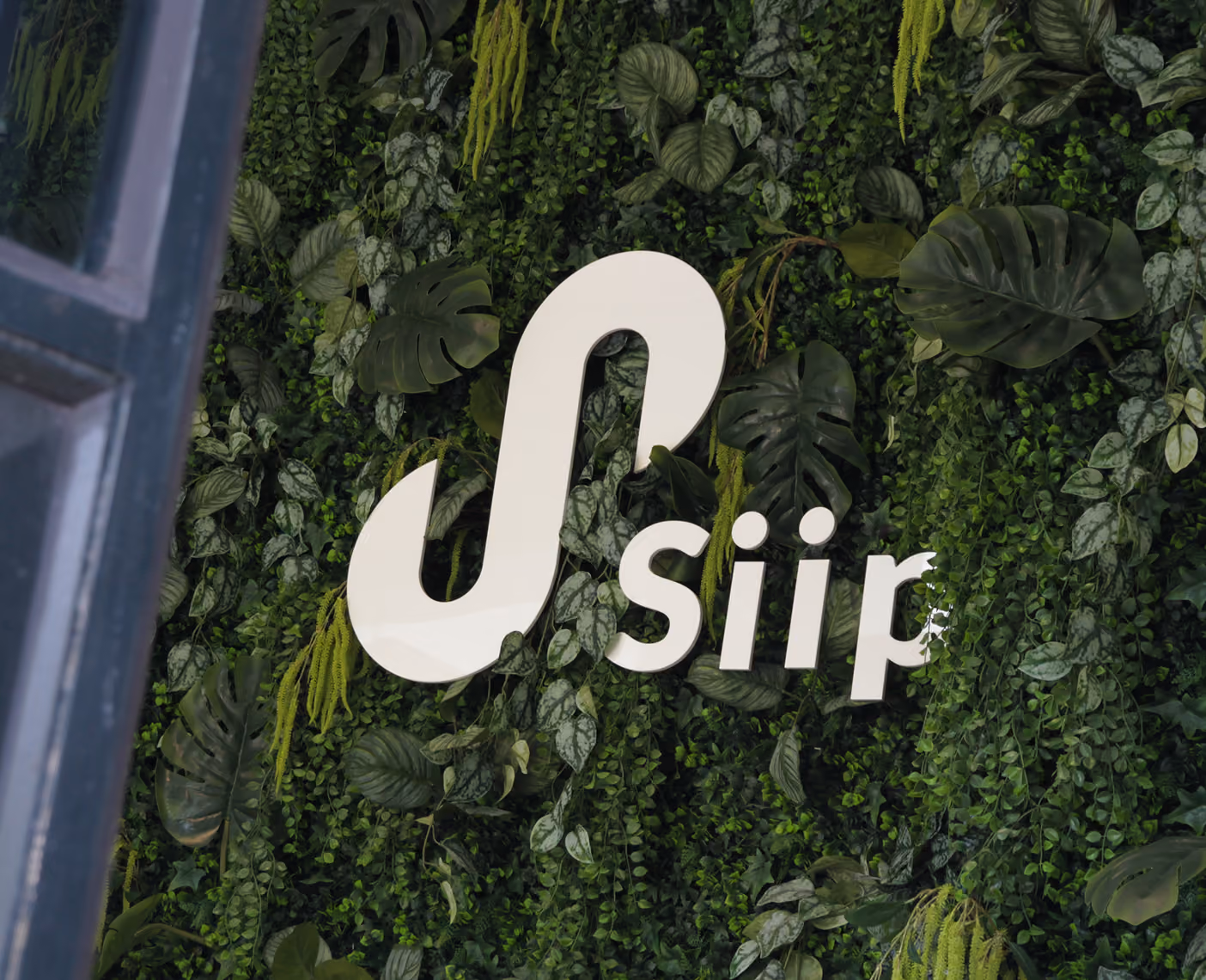 Het logo van Siip op de groene plantenwand bij de entree