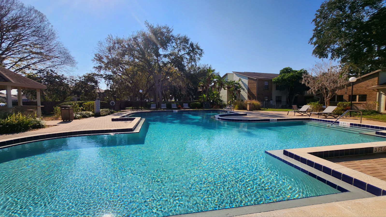 Swimming pool with palm trees