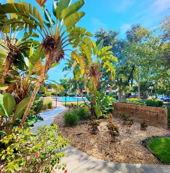 Exterior of pool with palm trees