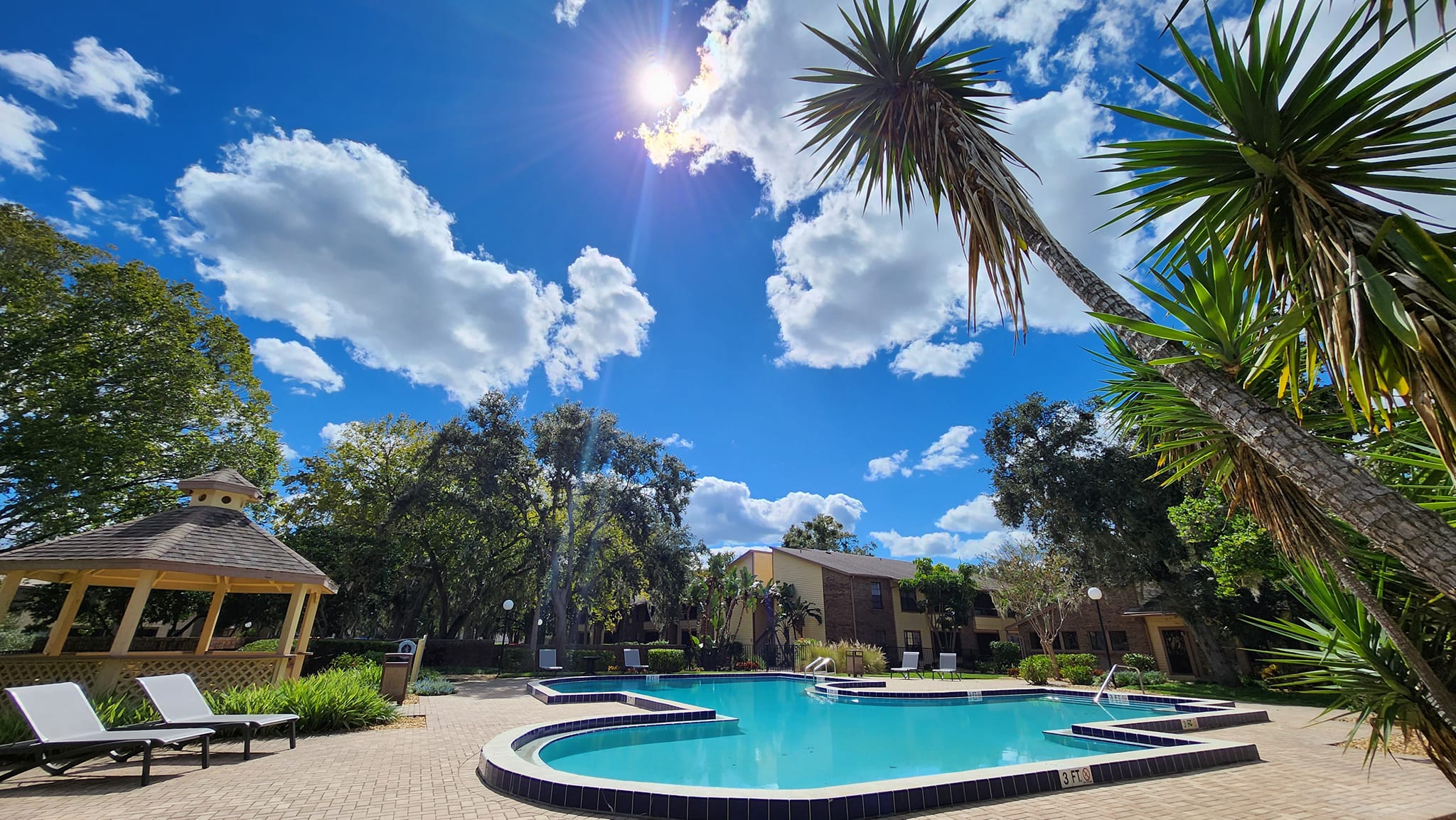 View of pool with palm trees