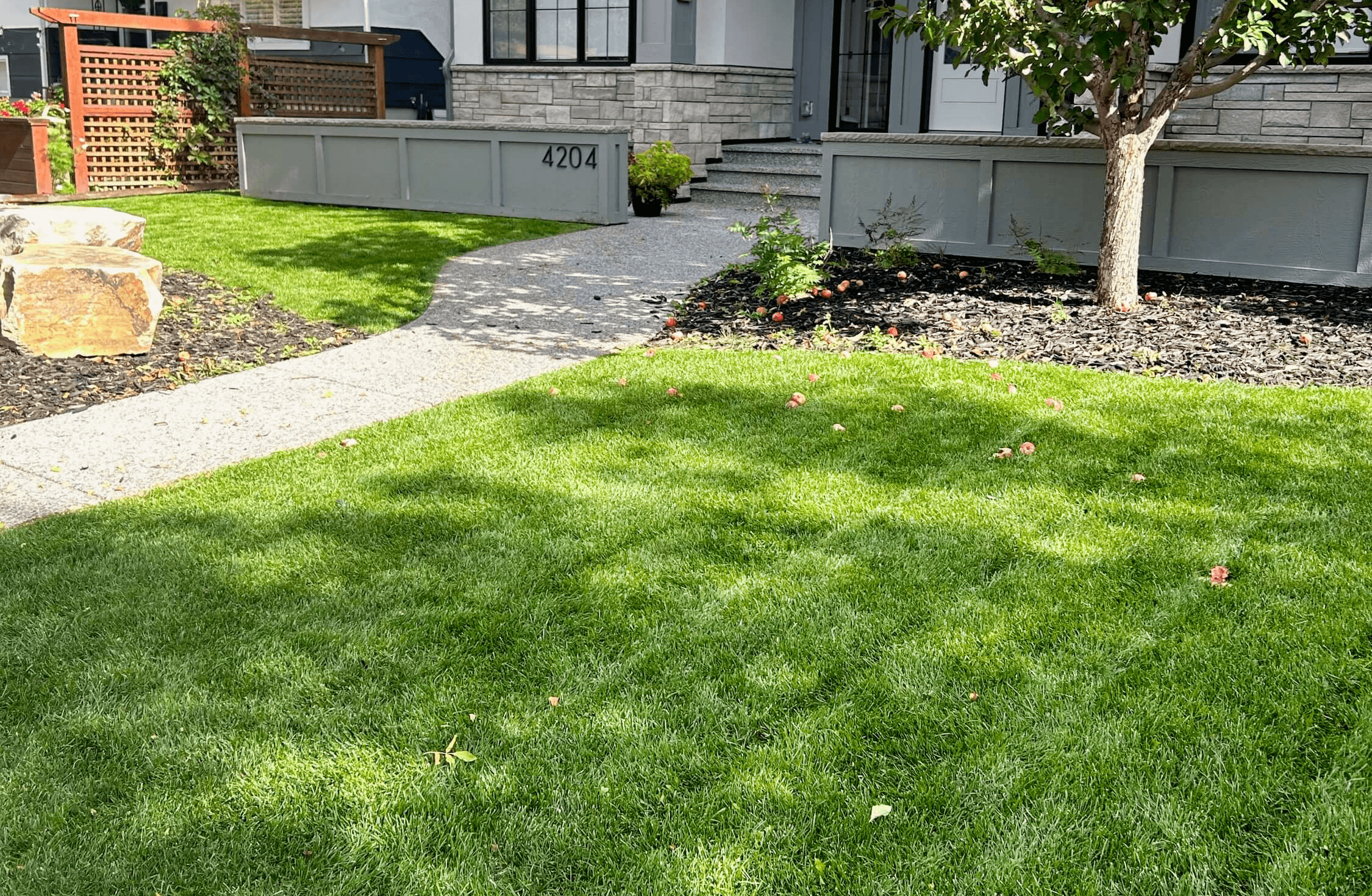 Elite Yards Landscaping lawn pictured after a mow in Calgary, Alberta.