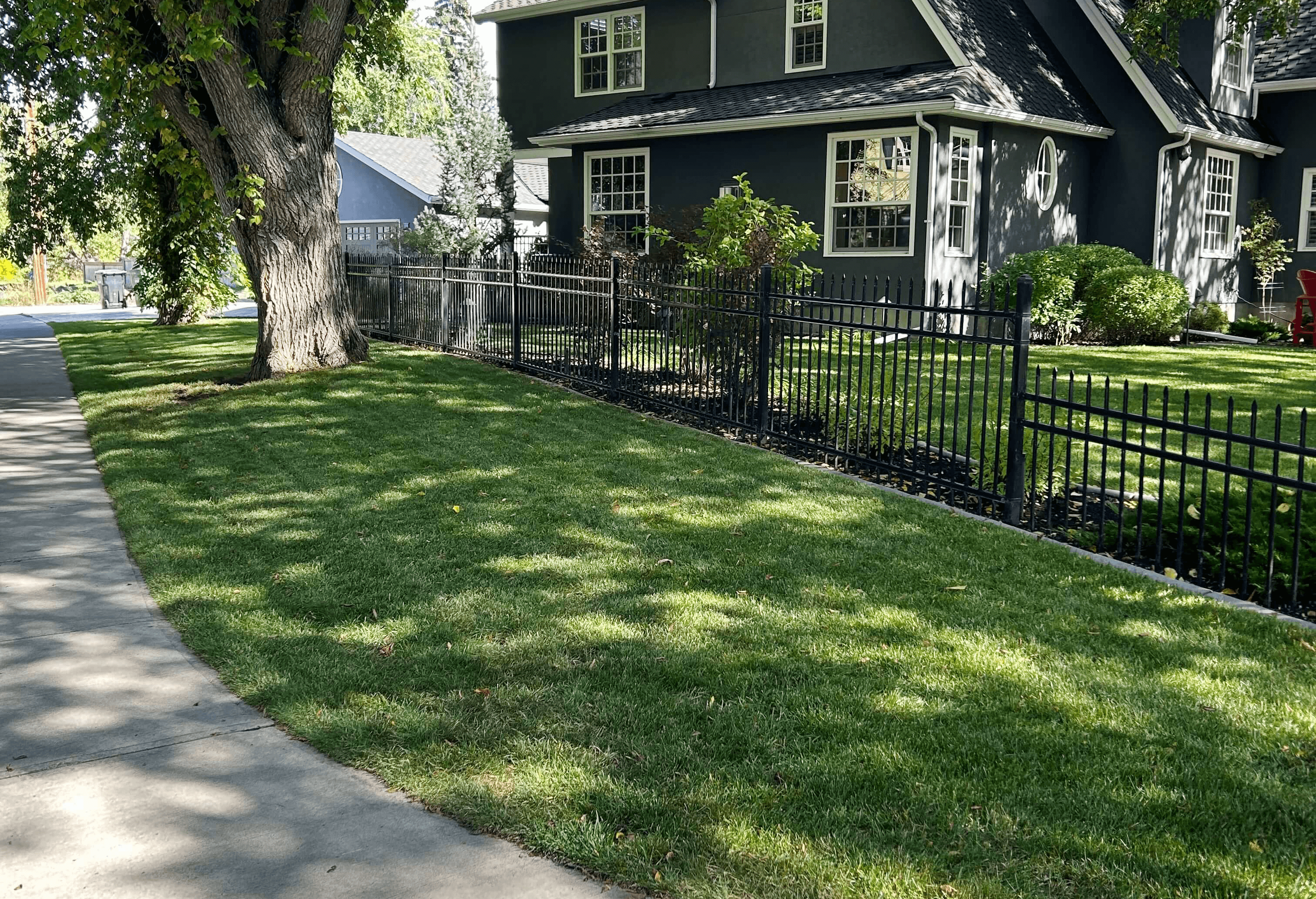 A yard with a fence pictured after service from Elite Yards Landscaping in Calgary, Alberta.