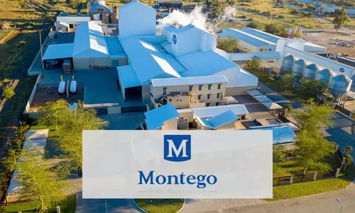 Montego Success Story Thumbnail