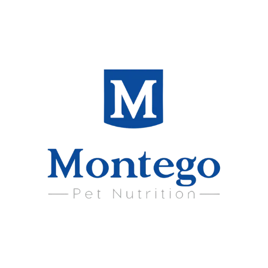 Montego Eliminated Subjective Performance Reviews with Teamflect