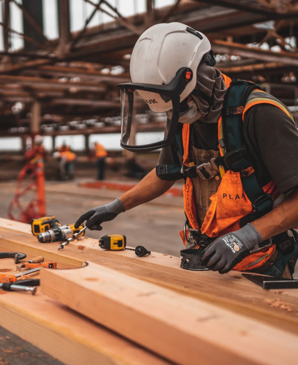 Working Image