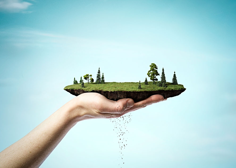 Parcel-of-Land-in-Palm-of-hand