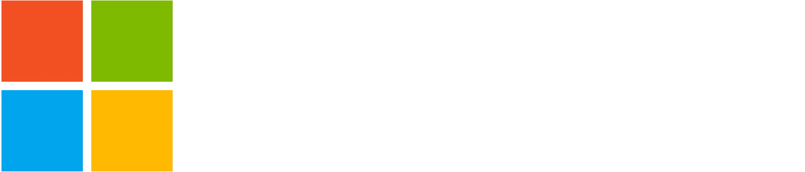 Microsoft Partner Logo