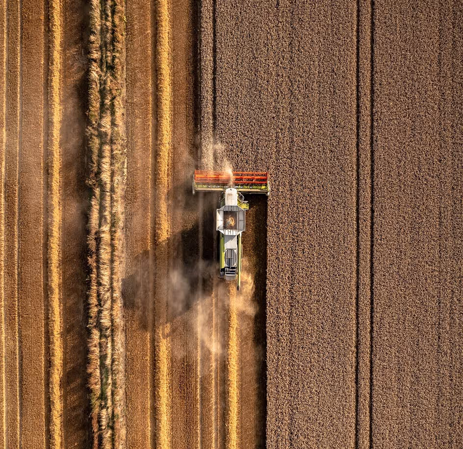 Aerial view of hemp harvest field
