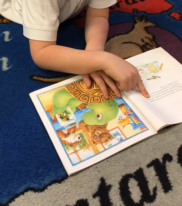 Child wearing a white short-sleeve shirt lying on a colorful carpet with animal designs, pointing to text in an open illustrated children's book featuring a green turtle and various animals inside a house.