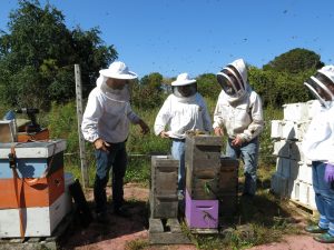 NH Beekeepers at a field training