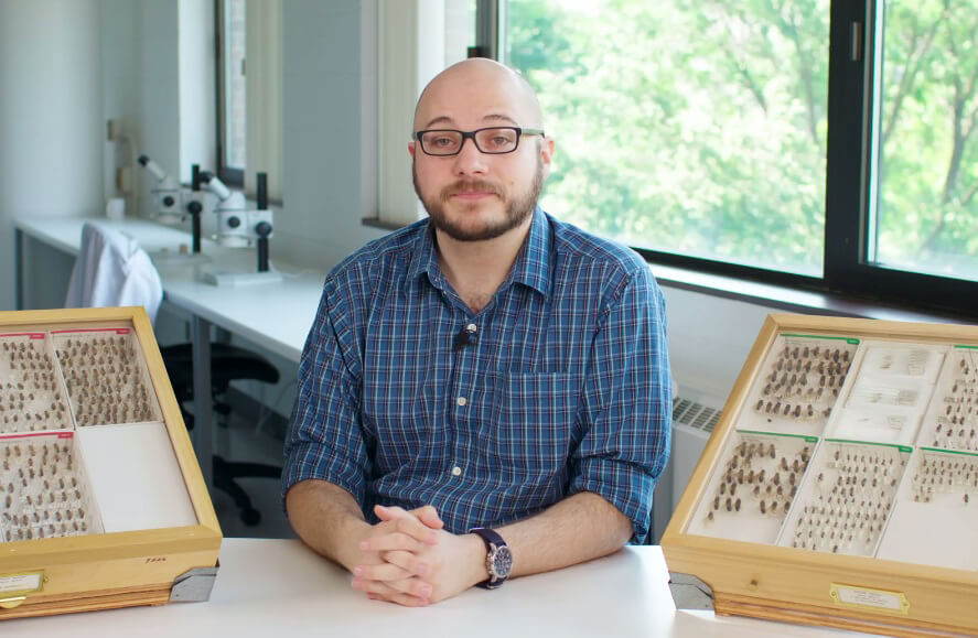 David T. Peck, Ph.D.