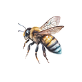 Monadnock Beekeepers Association Bee Icon