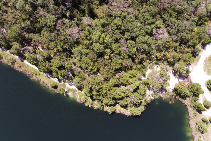Aerial view of a wooded coastal shoreline with calm water, native greenery, and a natural waterfront landscape.