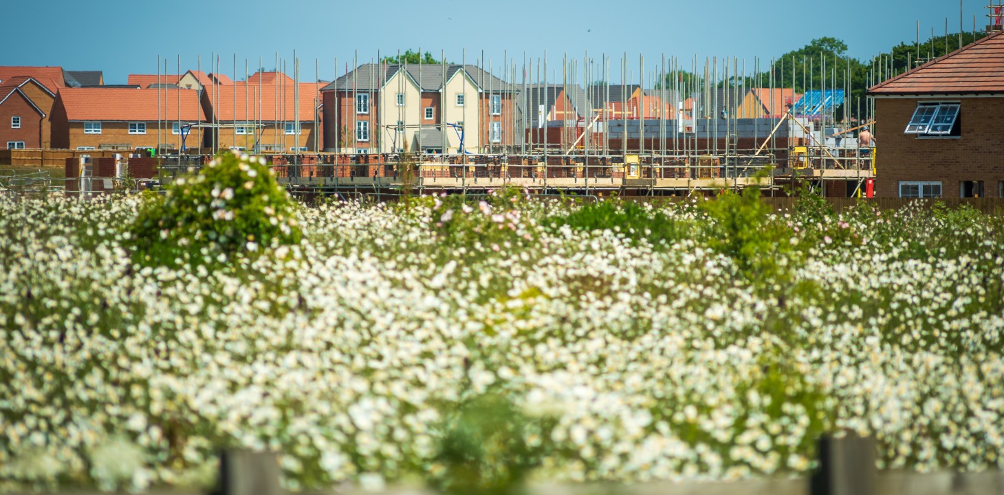 CDM Regulations: Everything you need to know
