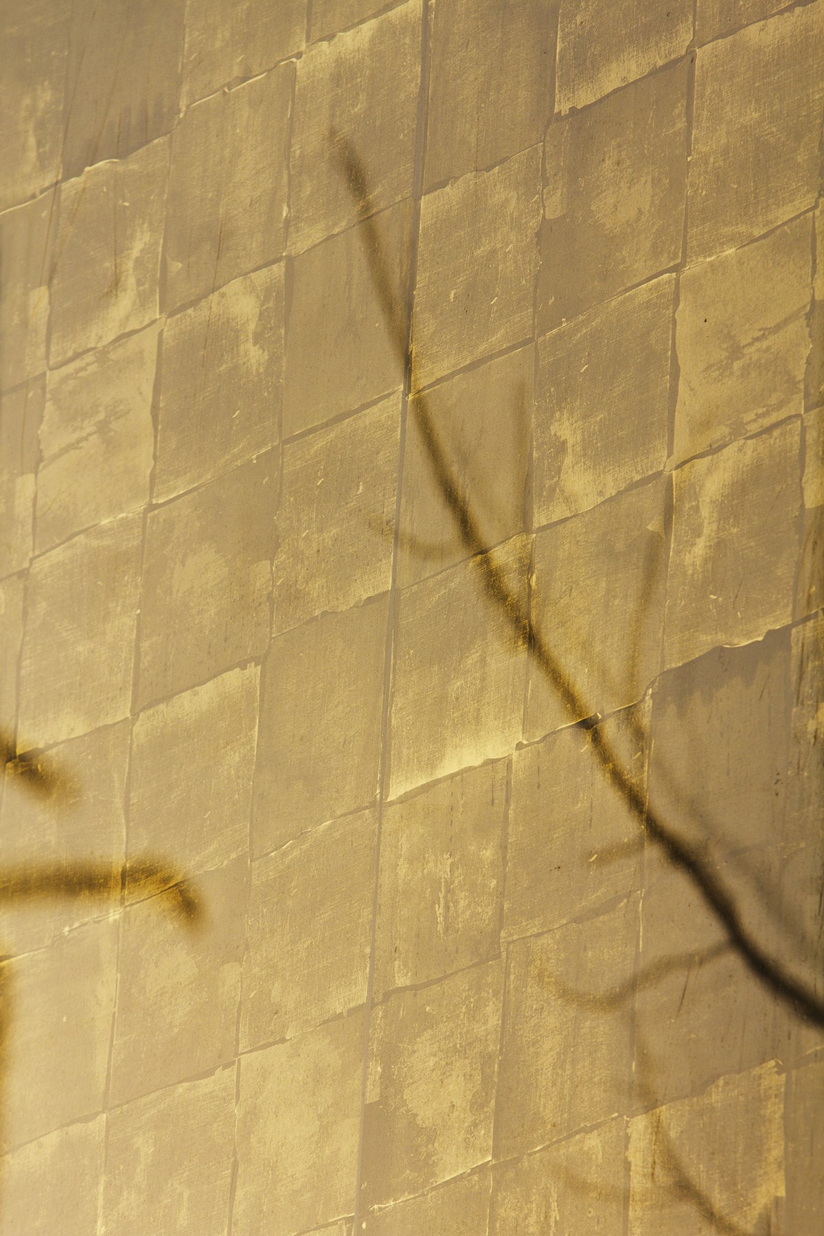 Gold leaf surface study
