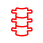 Icon of a red spine segment with four vertebrae and connecting ribs on a white background.
