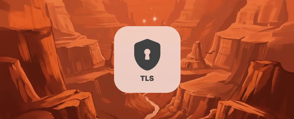 Shield icon with a keyhole and letters TLS in a square, set against a stylized orange canyon background.