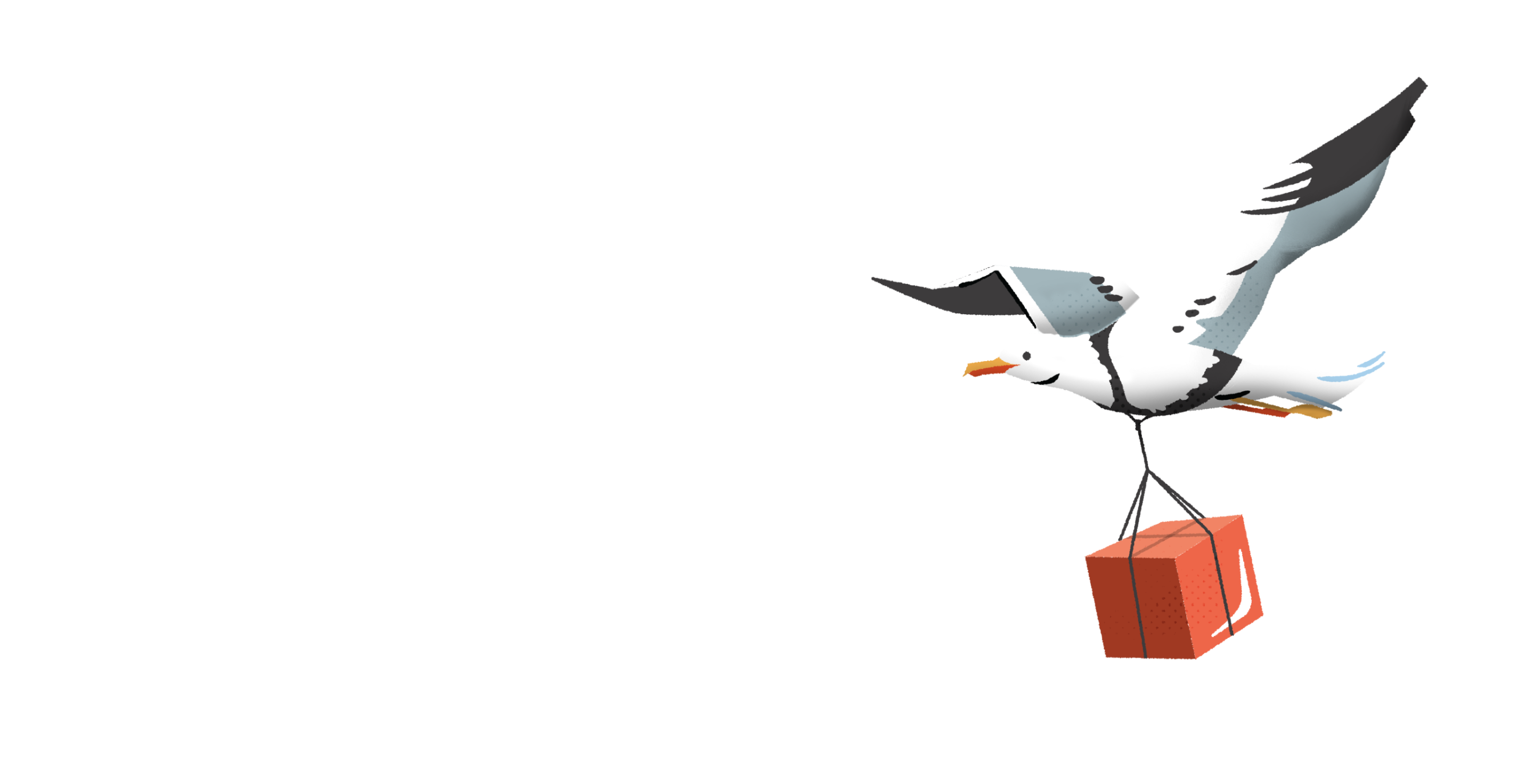 Seagull flying carrying a red box tied to its feet with black string.