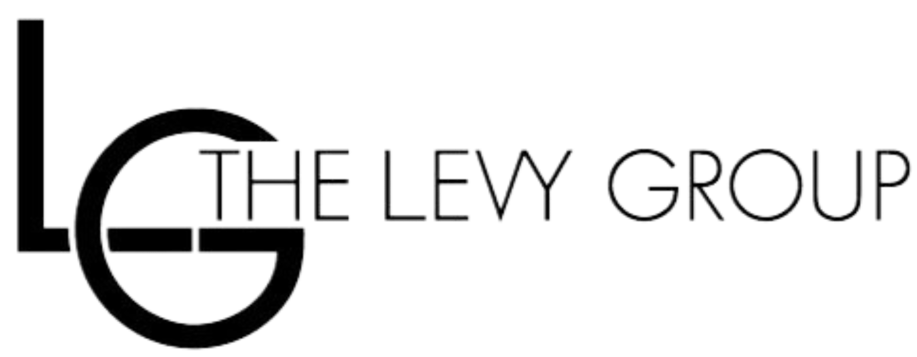 The Levy Group logo with stylized letters L and G.