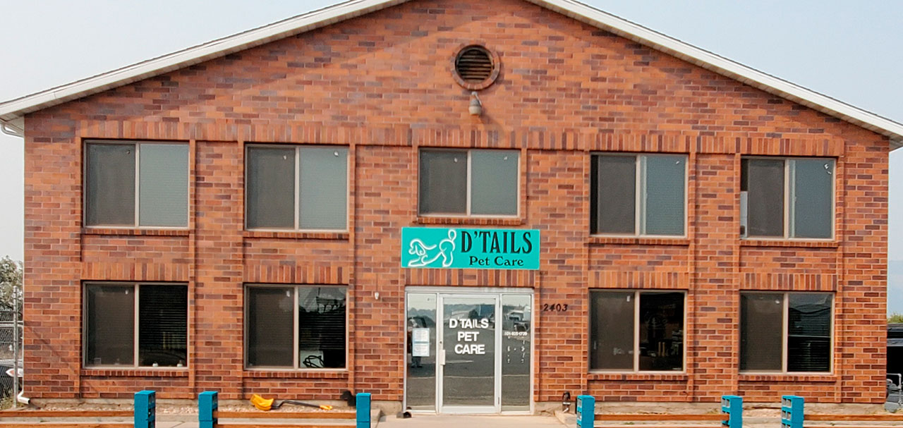 Two-story red brick building with a white framed glass door and a teal sign reading 'D'TAILS Pet Care' above the entrance.