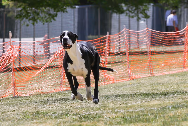 image of location (for an animal welfare nonprofit)