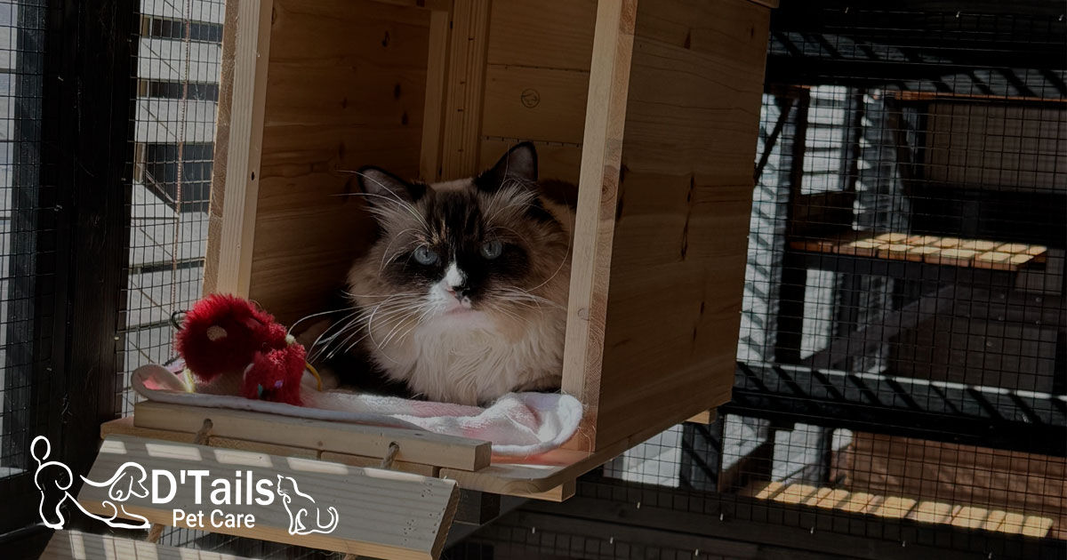 D'Tails Pet Care - Image 1