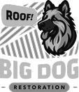 Big Dog Restoration