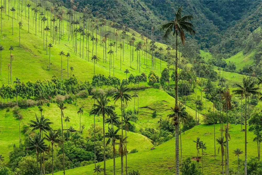 Colombia