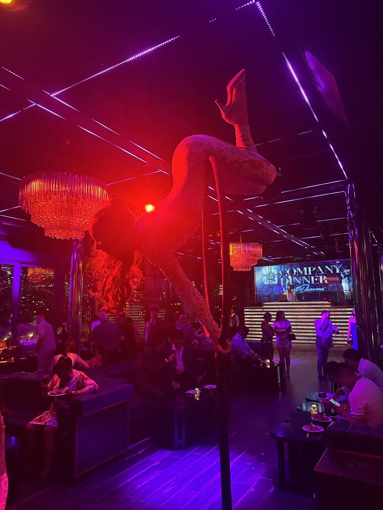 Aerial silks performance at a Washington DC wedding