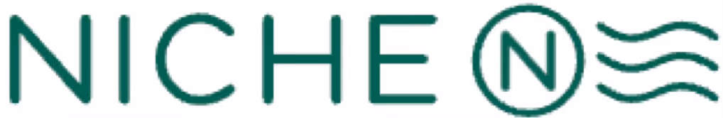 Logotipo de Niche con la letra N dentro de un círculo y líneas onduladas a la derecha.