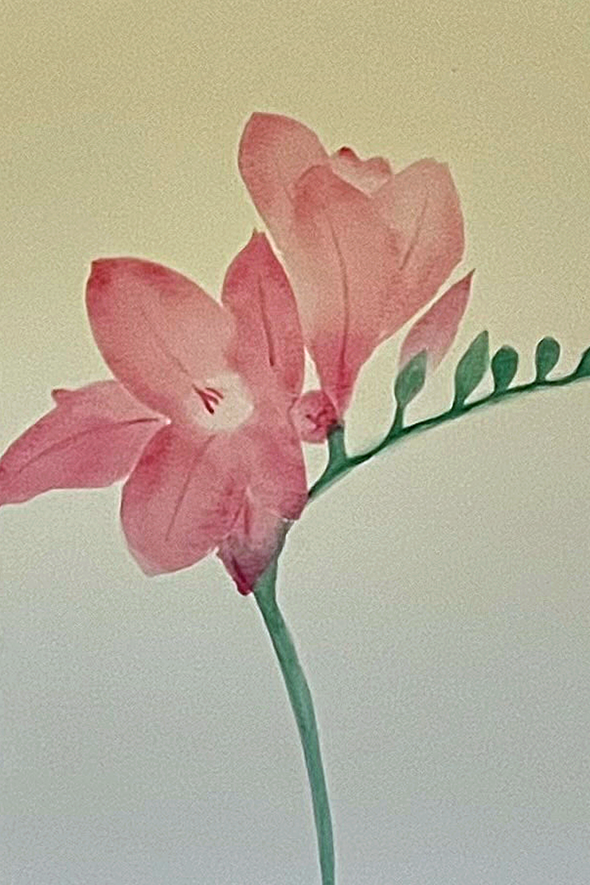 [background image] of a display shelf with ceramics