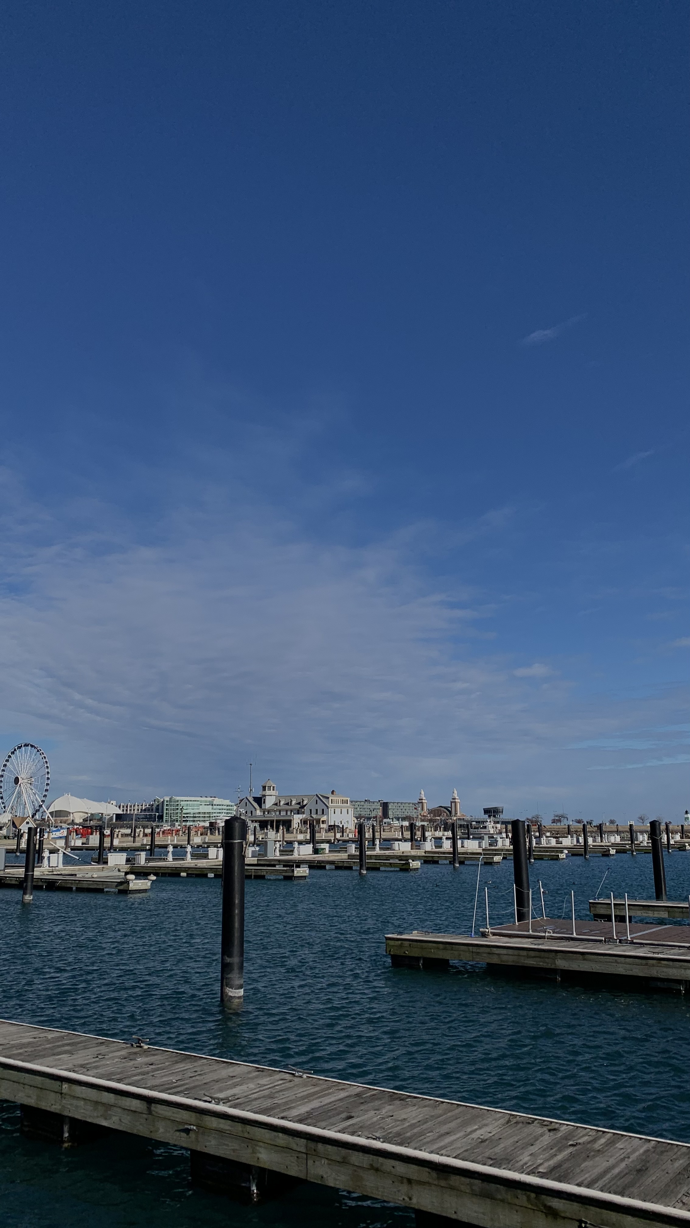 image of an art gallery opening night