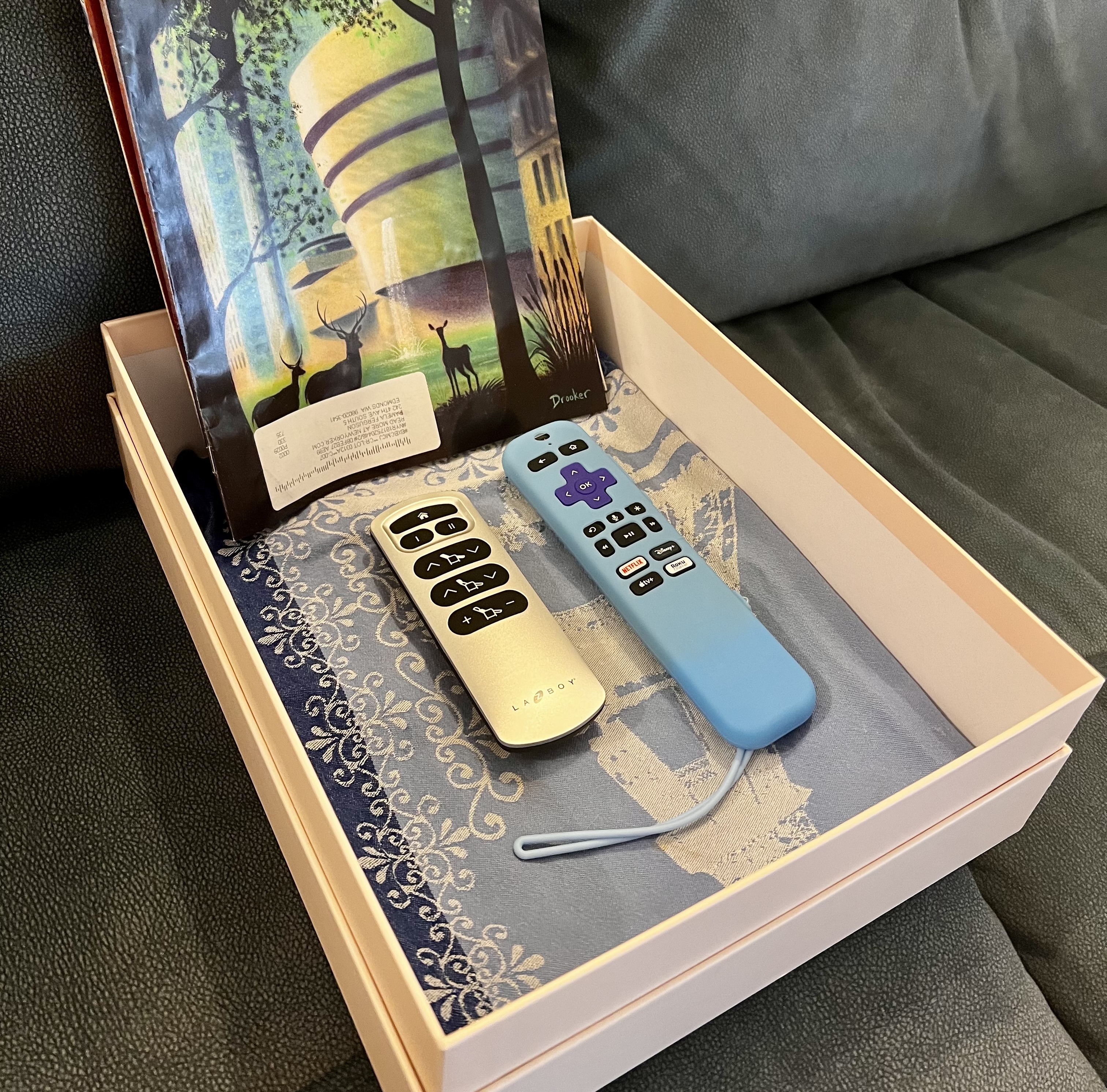 Pink box on couch with two remotes and magazines inside.