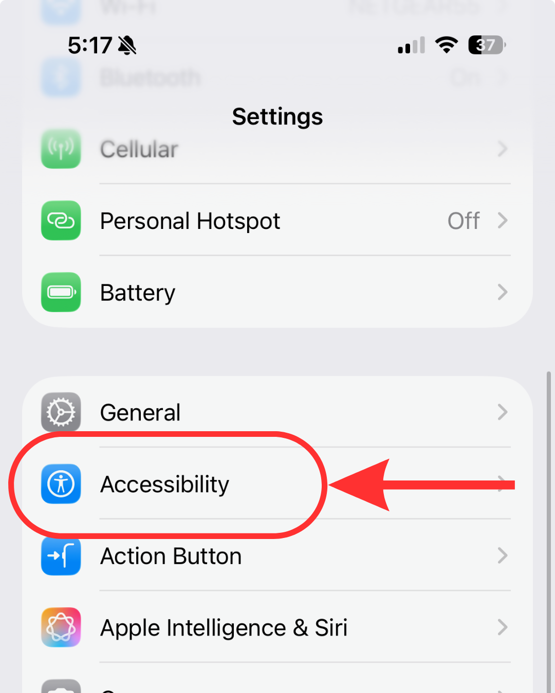 iPhone Settings menu with a red circle and arrow pointing to the Accessibility option.