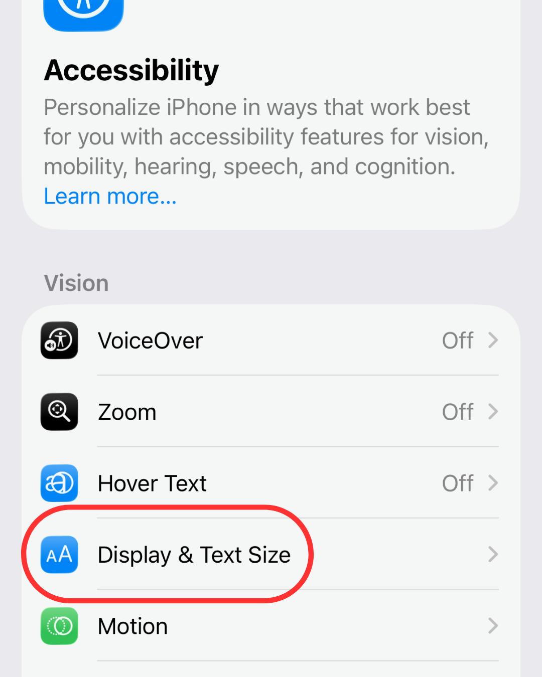 The Accessibility menu showing vision settings, with a red circle highlighting the "Display & Text Size" option.