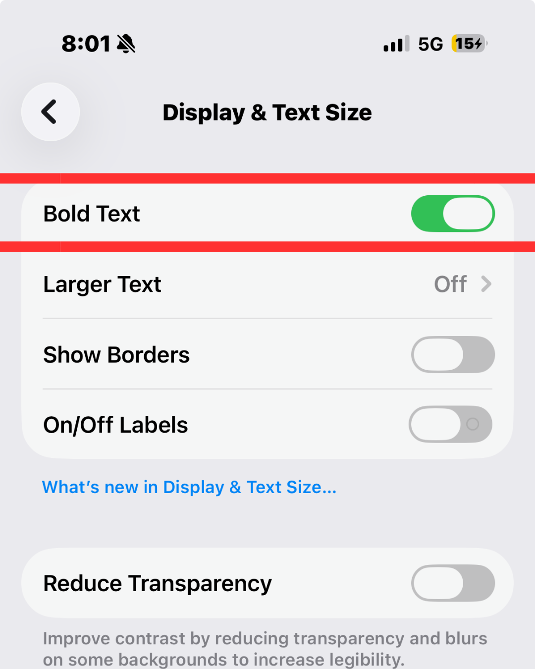The Display & Text Size settings screen with a red rectangle highlighting the "Bold Text" toggle switch.