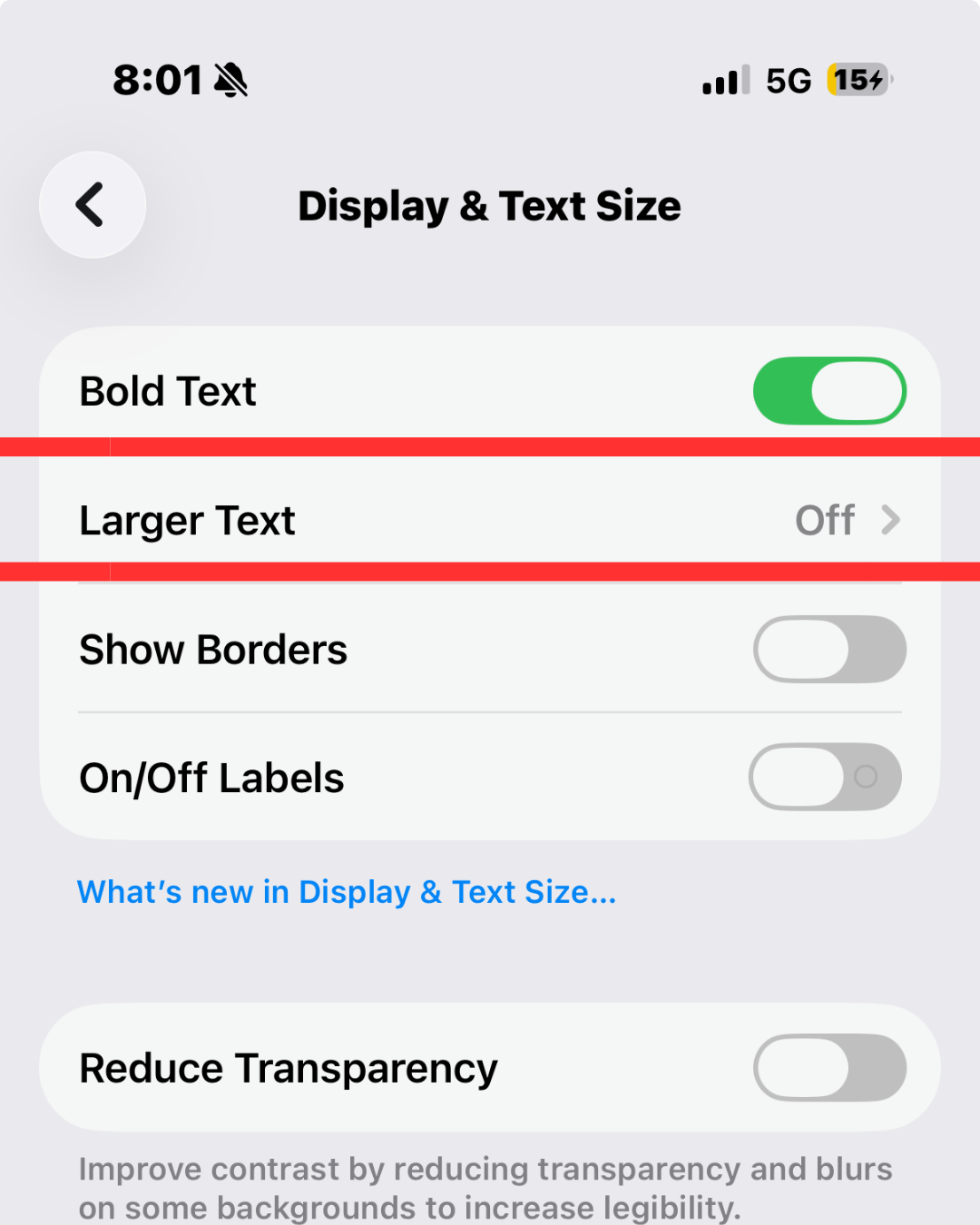 The Display & Text Size settings screen with a red rectangle highlighting the "Larger Text" option.