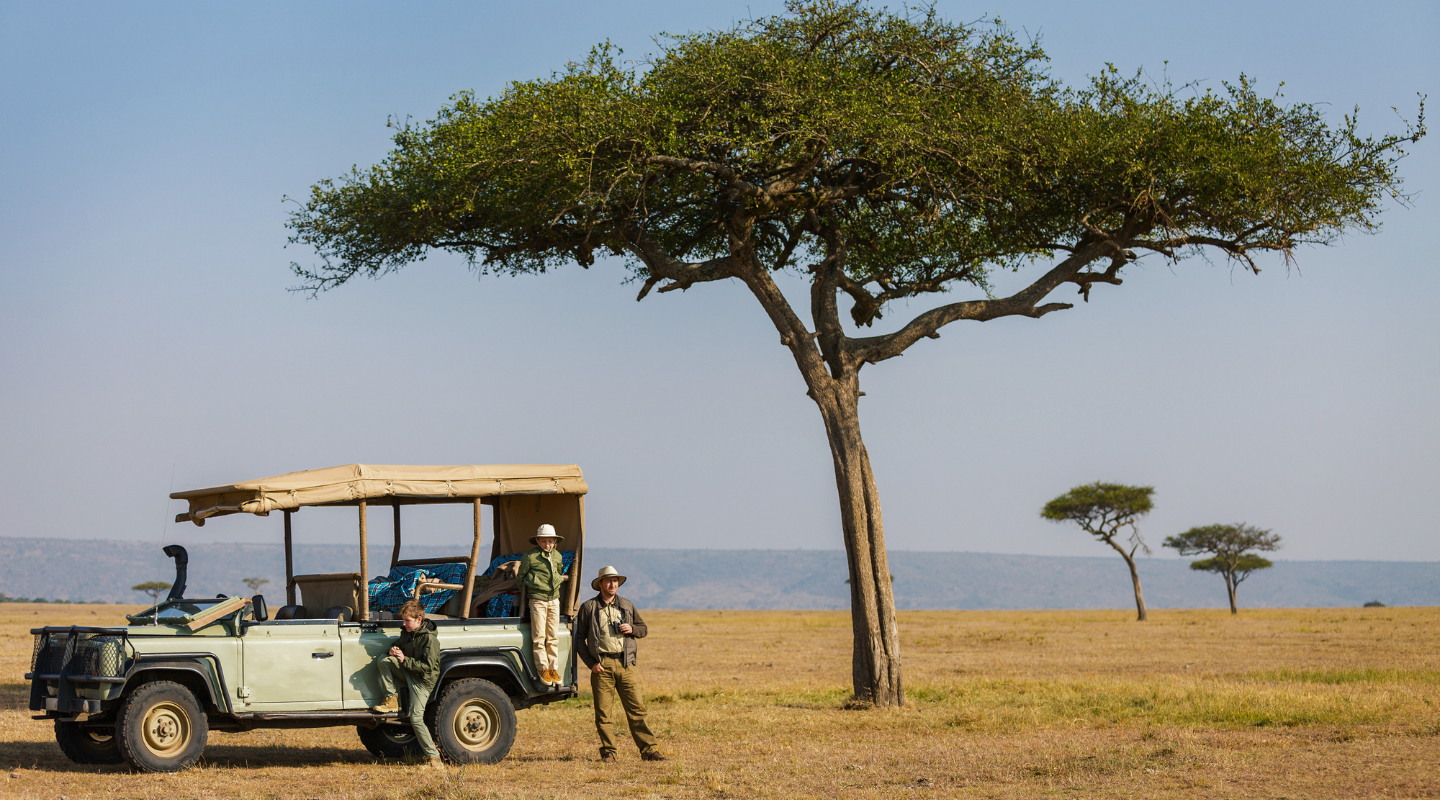 Safari