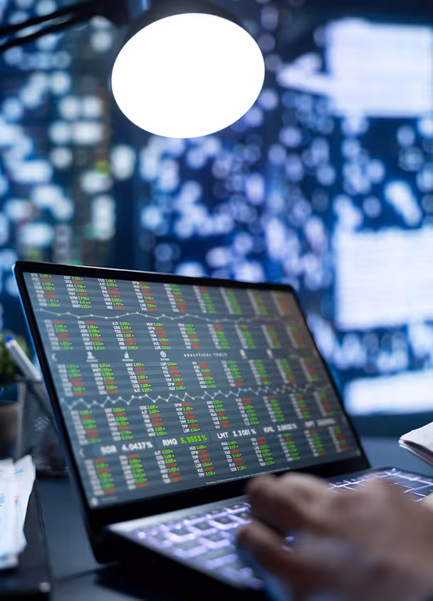 Product data grid on a laptop screen — Bluestone PIM implementation