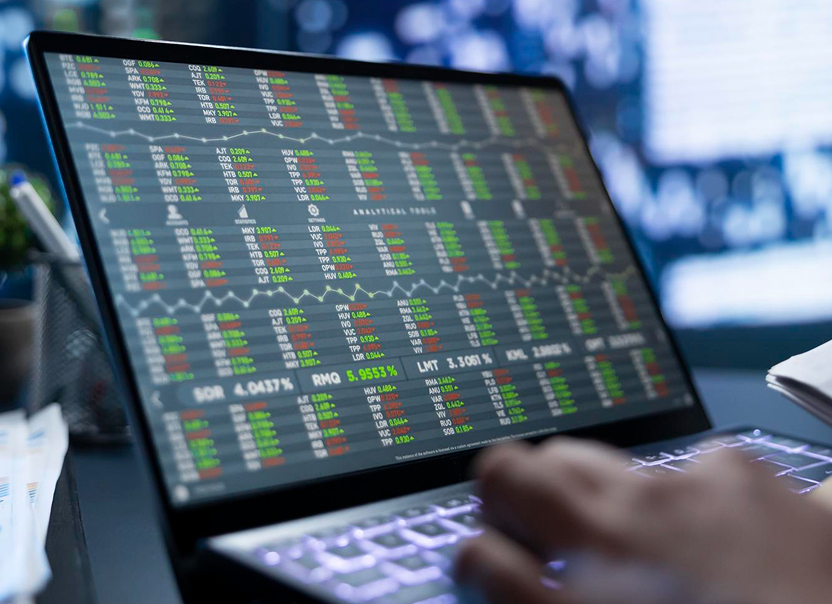 Structured product data on screen — Bluestone PIM implementation