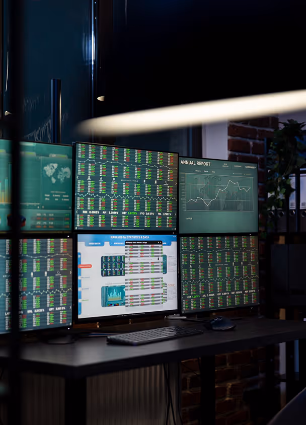 Fund manager viewing a portfolio reporting portal — secure transparency portal
