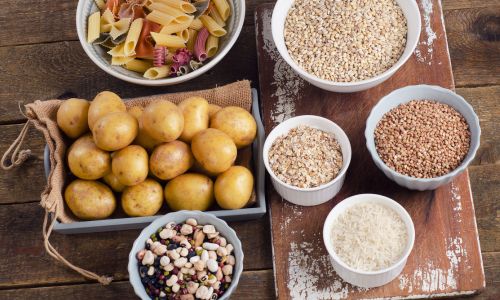 A plate of grains and carbs to indicate grains and carbs dogs can eat