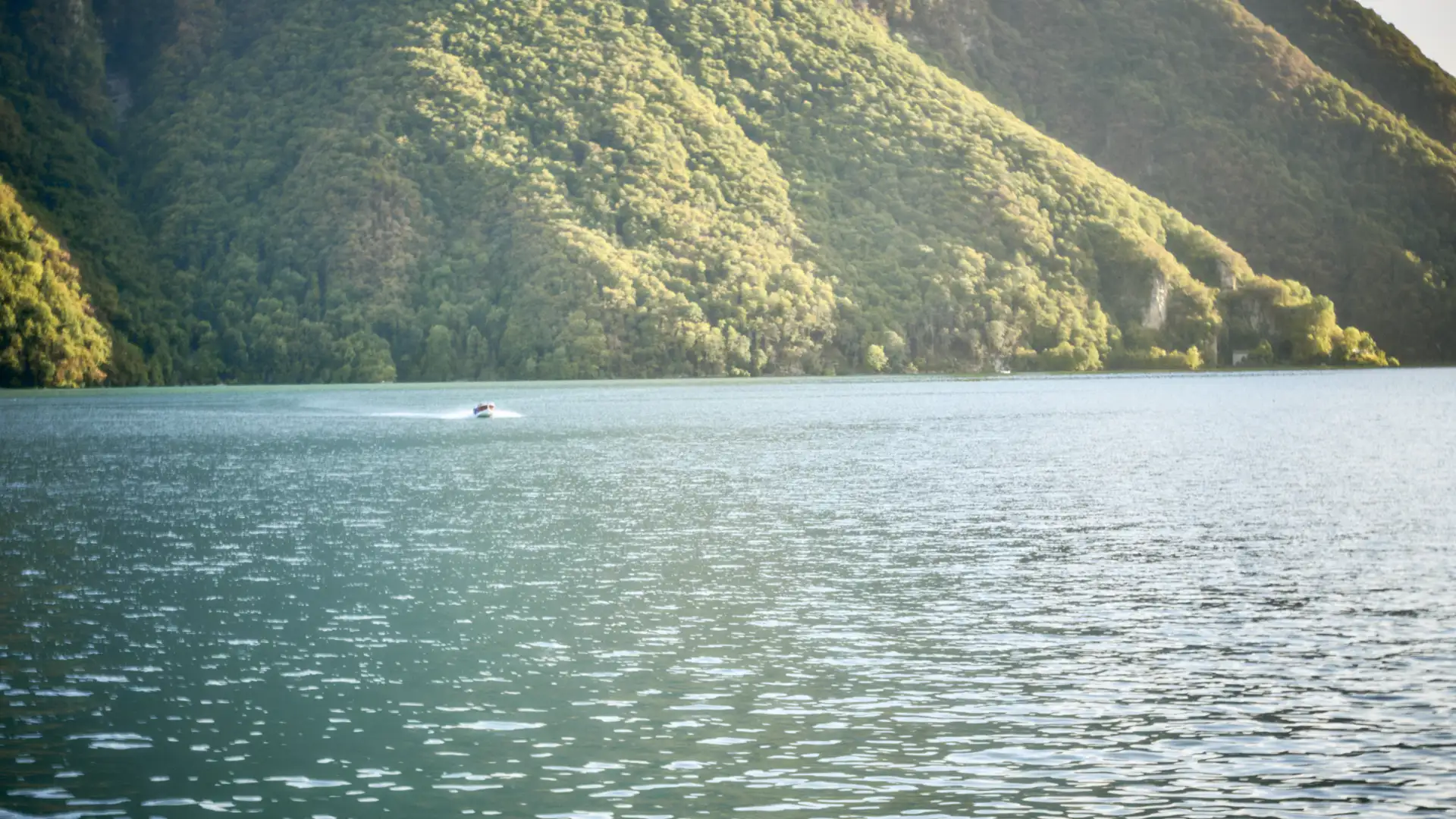 Boat crossing a green Italian lake at golden hour