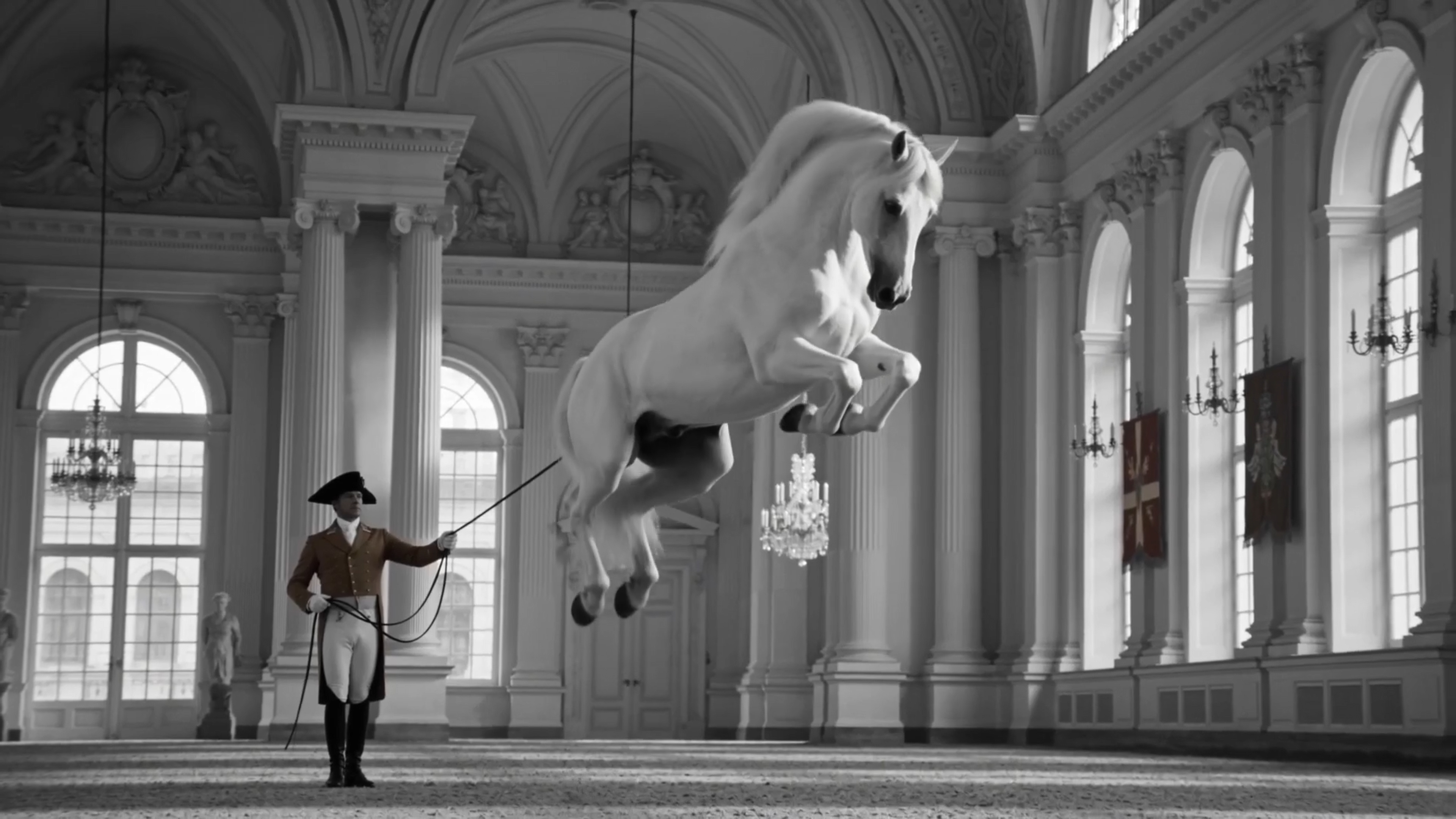 stallion-white-horse-vienna-history