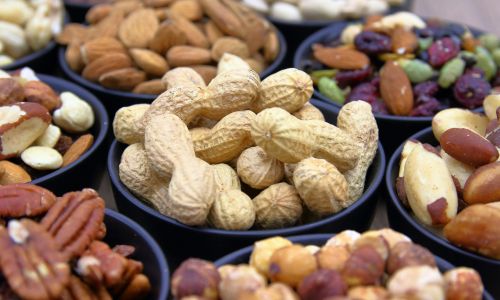 Many human nuts and seeds are safe for dogs in moderation, but some are toxic or pose high risks. Learn more below.