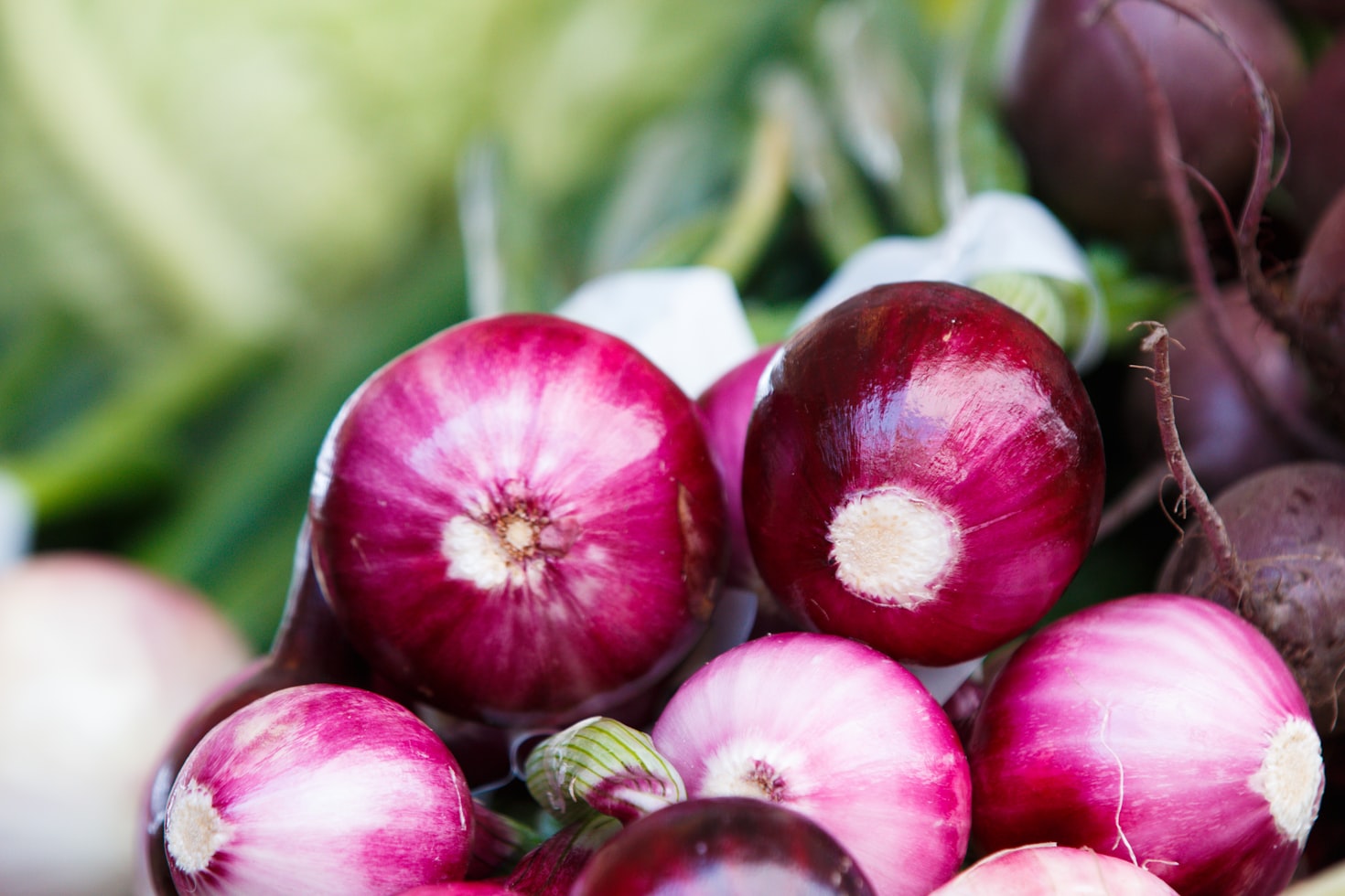 Can Dogs Eat Onions?